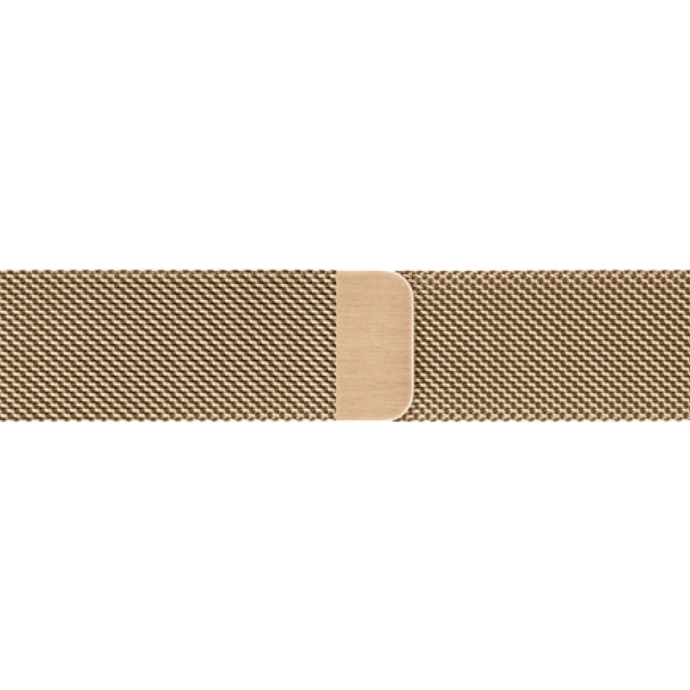 Milanese Loop Strap | Gold Titanium