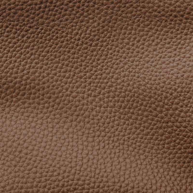 Leather Apple Watch Sport Strap | Autumn