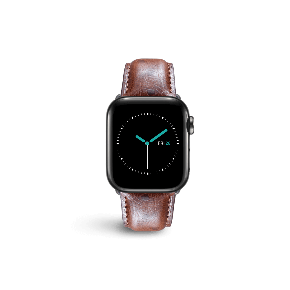 Ostrich Leather - Brown - MINTAPPLE.