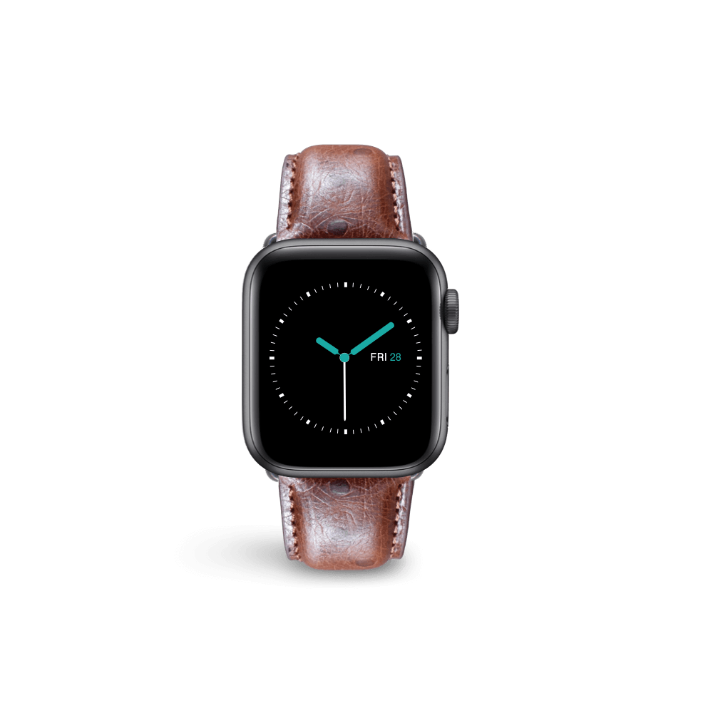 Ostrich Leather - Brown - MINTAPPLE.