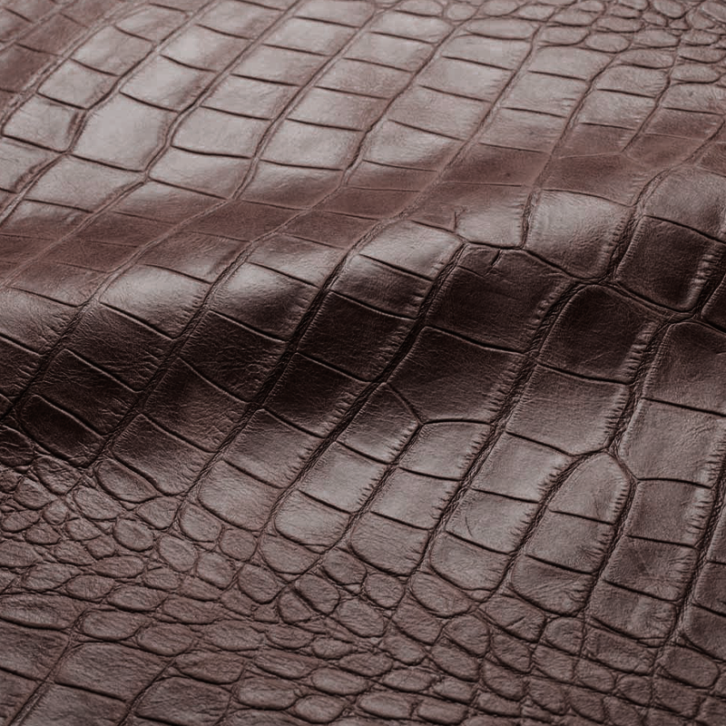 Alligator Embossed Leather | Brown - MINTAPPLE.