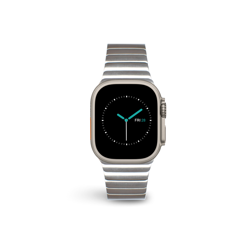 Apple watch 2025 stainless steel silver